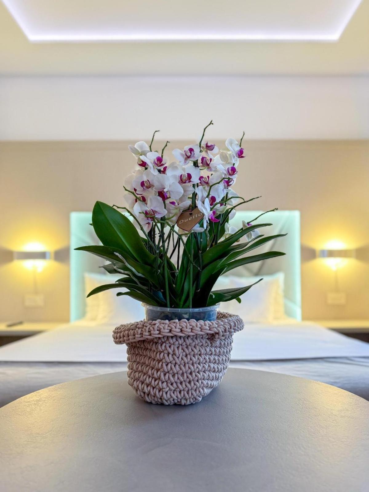 Eden Garden Hotel Câmpulung Moldovenesc